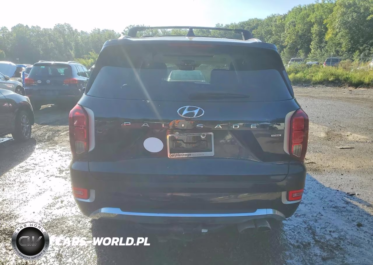 2020 Hyundai Palisade Limited VIN:KM8R5DHE0LU162316 - 6