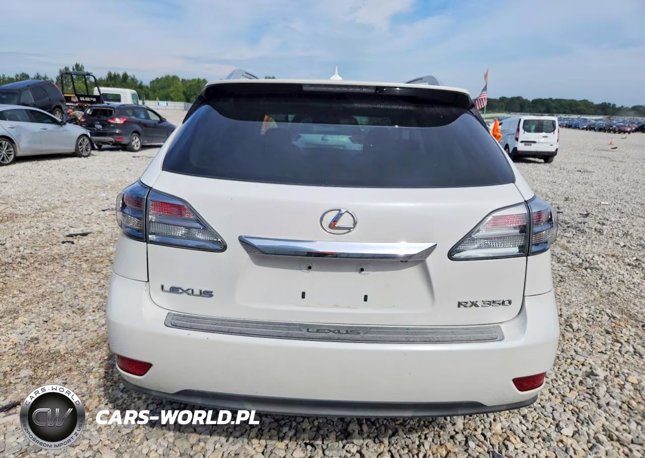 2010 Lexus Rx 350 VIN:2T2BK1BA8AC045060 - 6