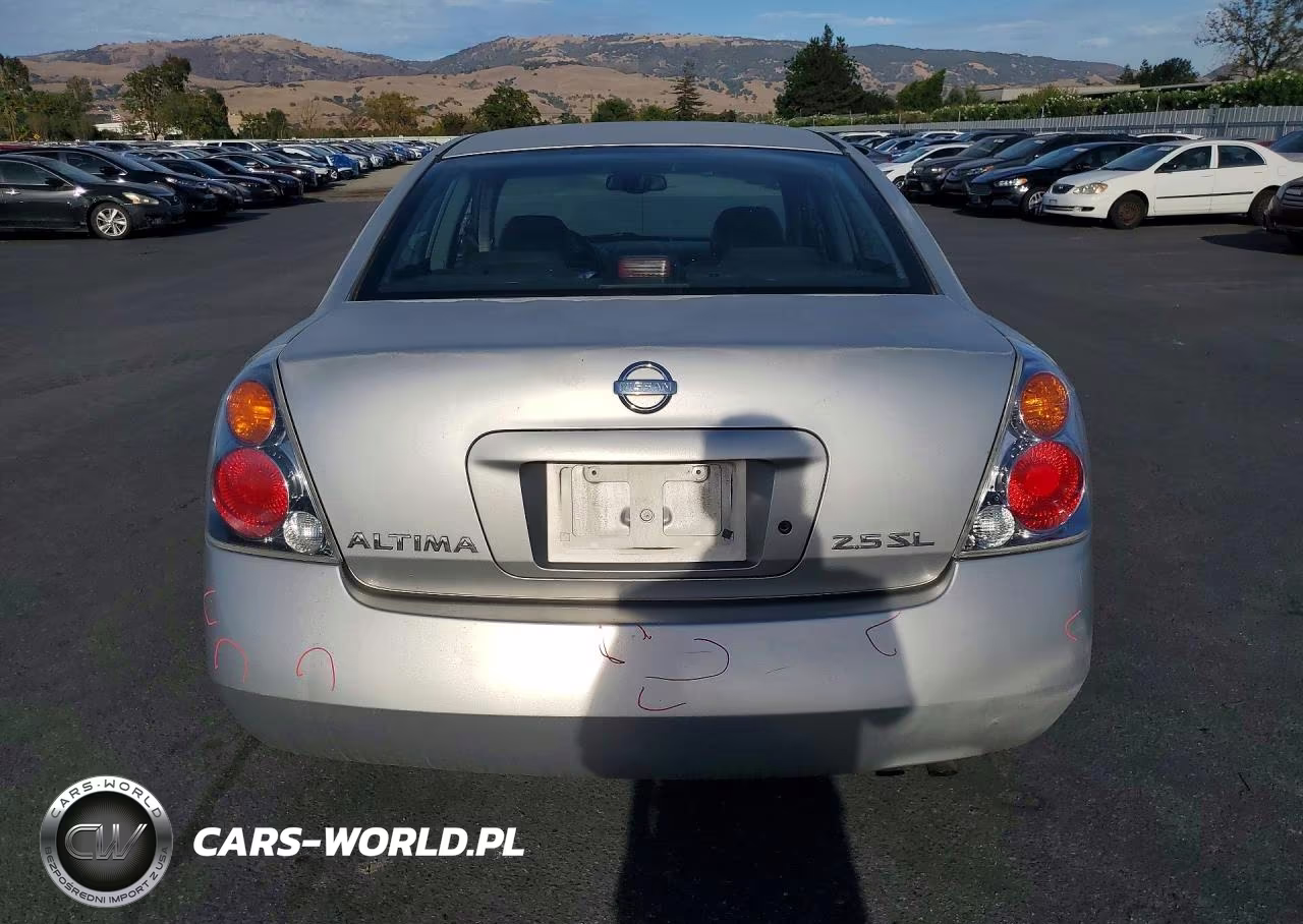 2003 Nissan Altima 2.5 S VIN:1N4AL11E33C128768 - 6