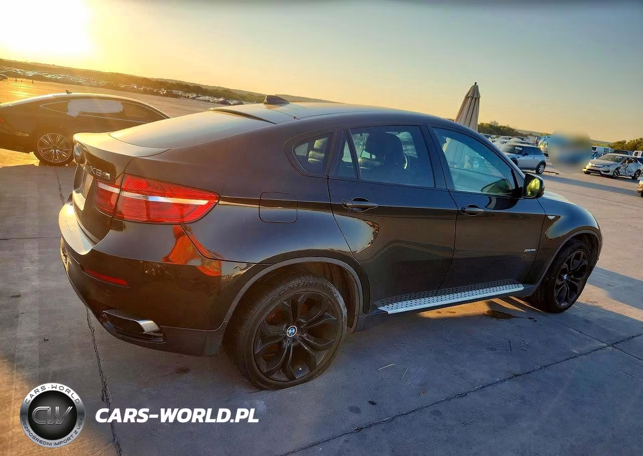 2013 BMW X6 xDrive50I VIN:5UXFG8C53DL591035 - 3