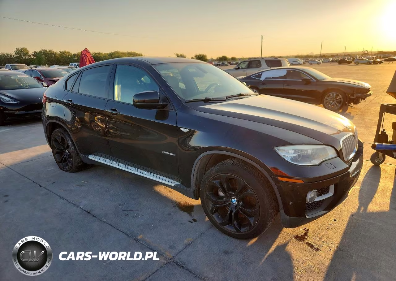 2013 BMW X6 xDrive50I VIN:5UXFG8C53DL591035 - 4