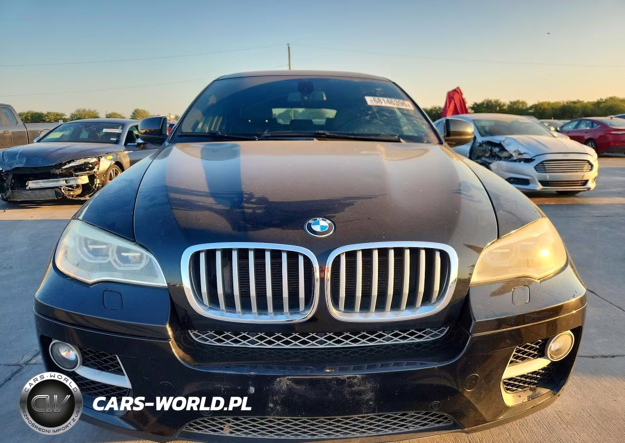 2013 BMW X6 xDrive50I VIN:5UXFG8C53DL591035 - 5