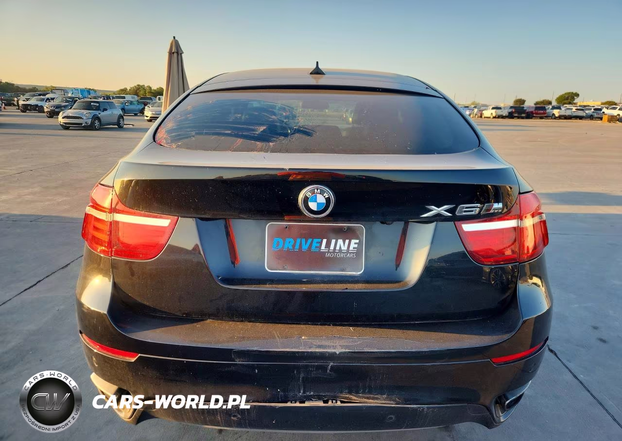 2013 BMW X6 xDrive50I VIN:5UXFG8C53DL591035 - 6