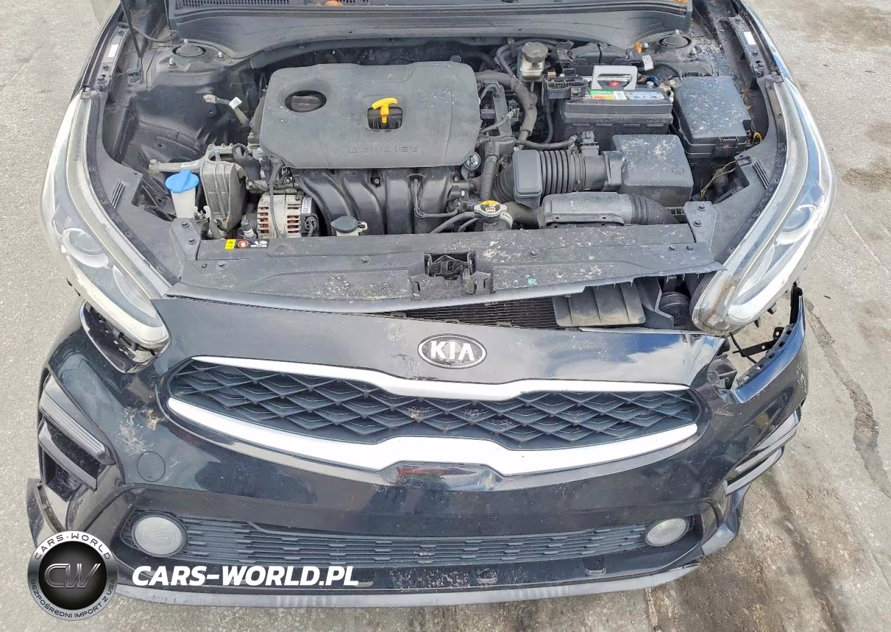 2019 Kia Forte Lxs VIN:3KPF24AD0KE060626 - 11
