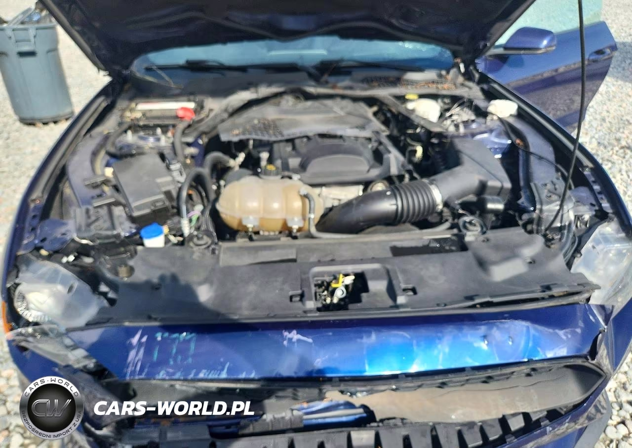 2020 Ford Mustang VIN:1FATP8UH2L5125621 - 11