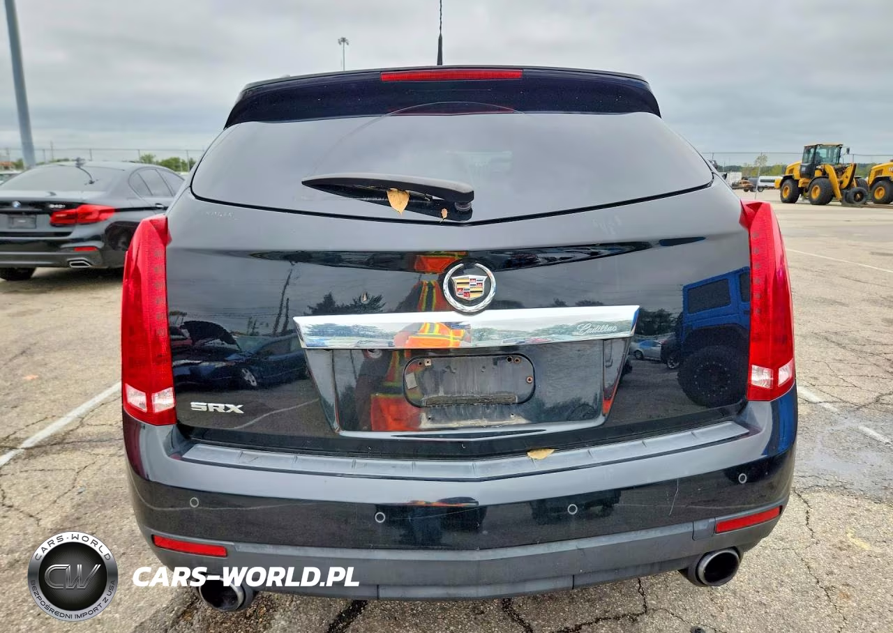2010 Cadillac Srx Luxury Collection VIN:3GYFNAEY8AS576648 - 6
