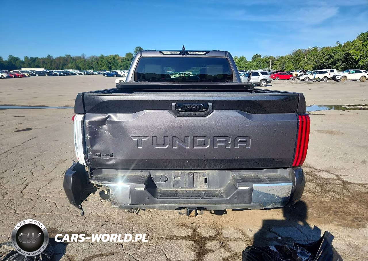 2022 Toyota Tundra Sr5 VIN:5TFLA5DB7NX052209 - 6