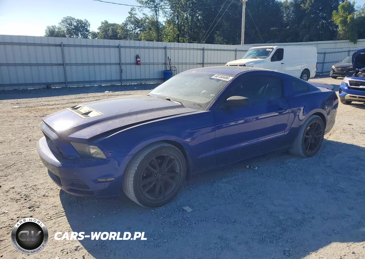 2014 Ford Mustang VIN:1ZVBP8AM3E5310753 - 1