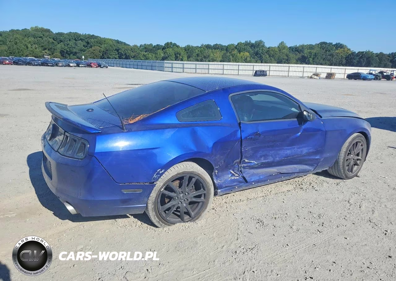 2014 Ford Mustang VIN:1ZVBP8AM3E5310753 - 3