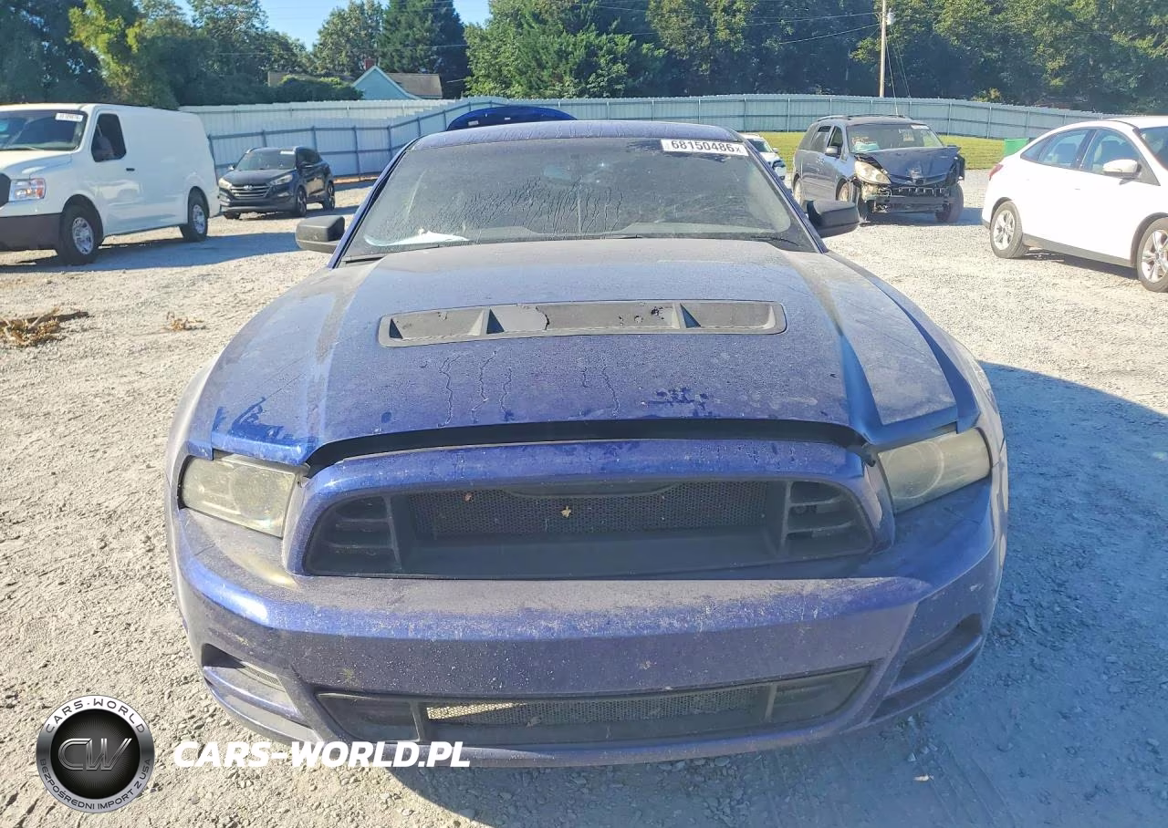 2014 Ford Mustang VIN:1ZVBP8AM3E5310753 - 5