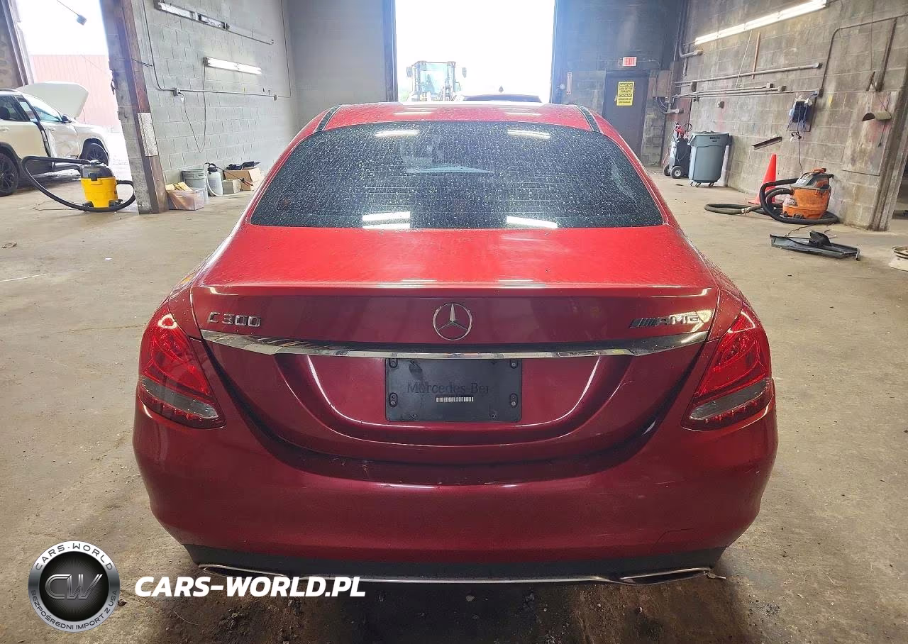 2016 Mercedes-Benz C 300 VIN:55SWF4JB0GU128684 - 6