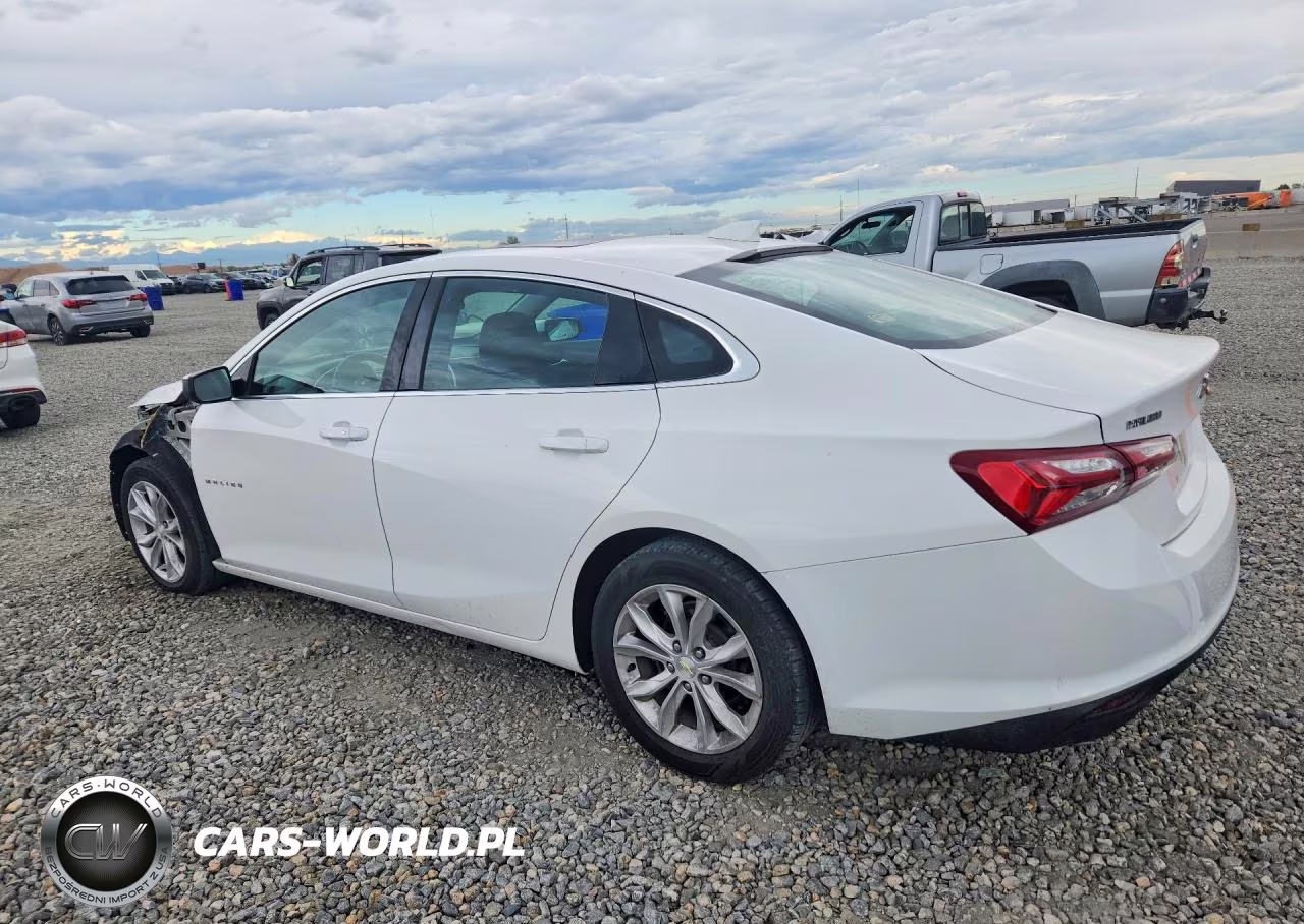 2019 Chevrolet Malibu Lt VIN:1G1ZD5ST6KF152289 - 2