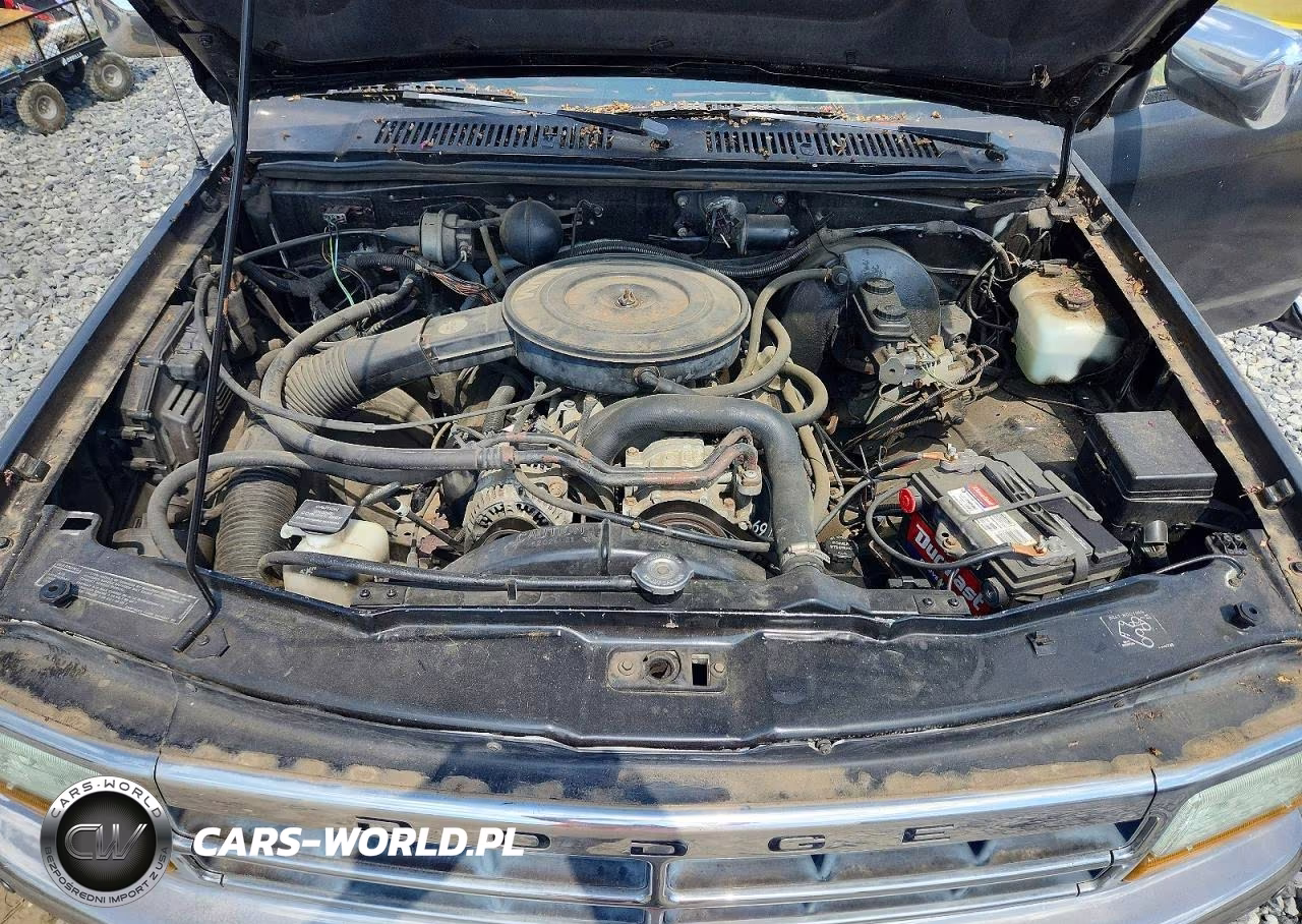 1993 Dodge Dakota VIN:1B7GL23YXPS248497 - 11