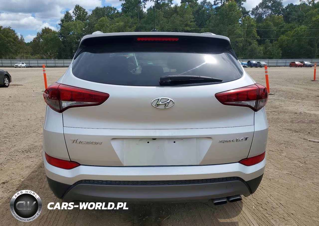 2016 Hyundai Tucson Sport VIN:KM8J33A26GU192374 - 6