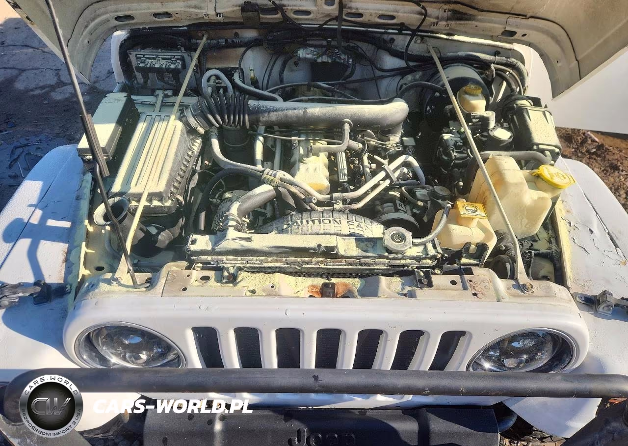 2001 Jeep Wrangler - Tj Sahara VIN:1J4FA59S41P310146 - 12
