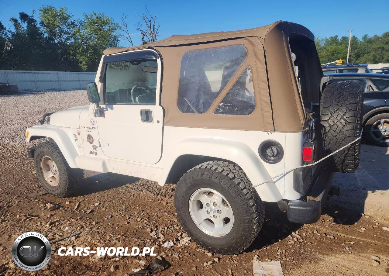 2001 Jeep Wrangler - Tj Sahara VIN:1J4FA59S41P310146 - 2