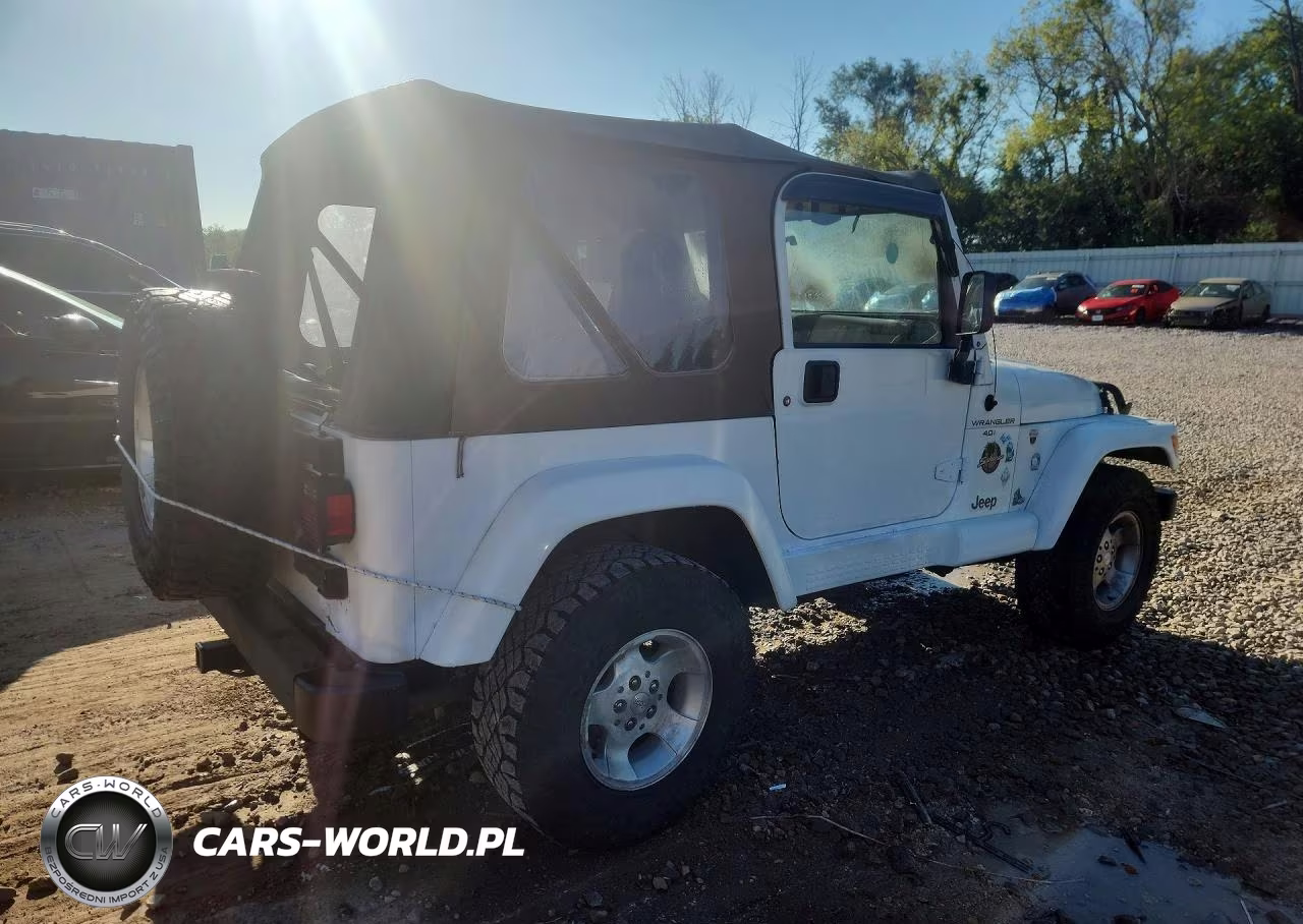 2001 Jeep Wrangler - Tj Sahara VIN:1J4FA59S41P310146 - 3