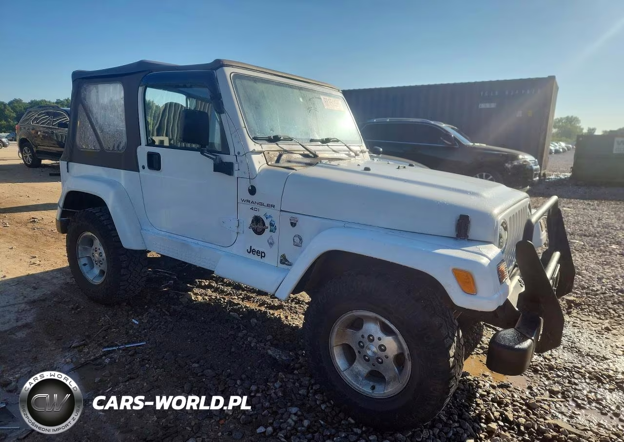 2001 Jeep Wrangler - Tj Sahara VIN:1J4FA59S41P310146 - 4