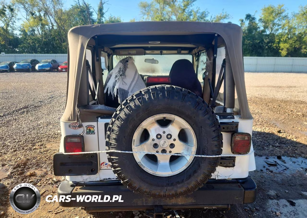 2001 Jeep Wrangler - Tj Sahara VIN:1J4FA59S41P310146 - 6
