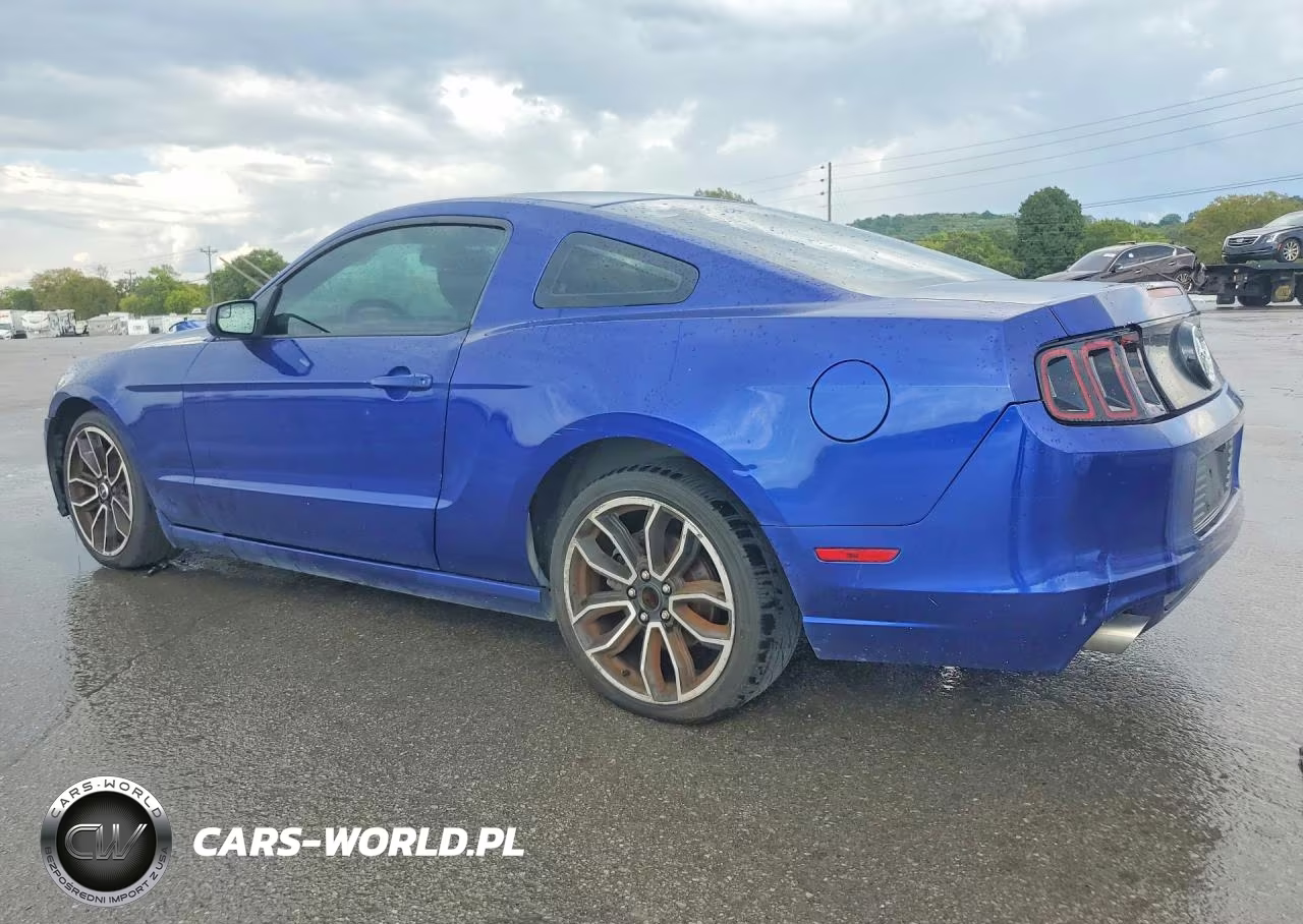 2014 Ford Mustang VIN:1ZVBP8AM0E5325260 - 2