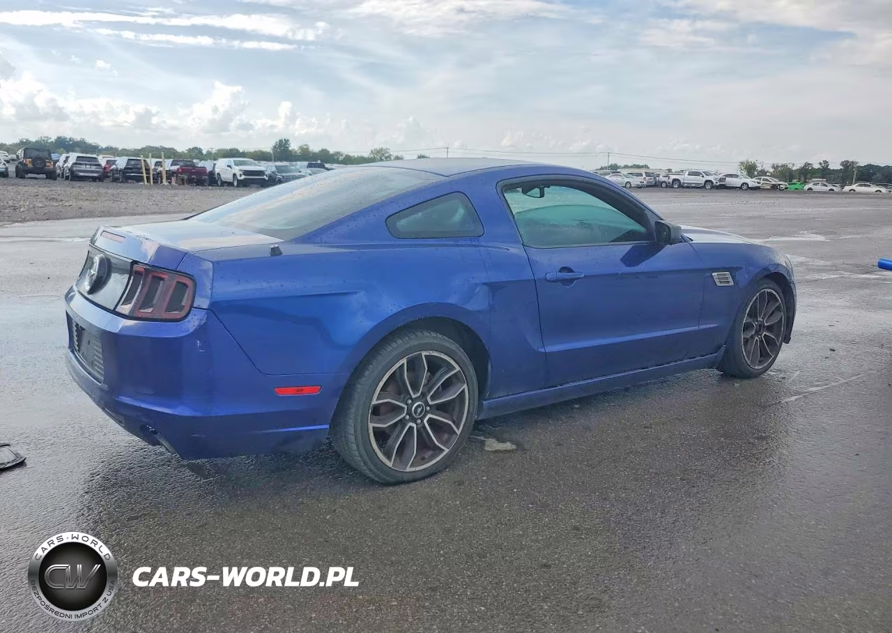 2014 Ford Mustang VIN:1ZVBP8AM0E5325260 - 3