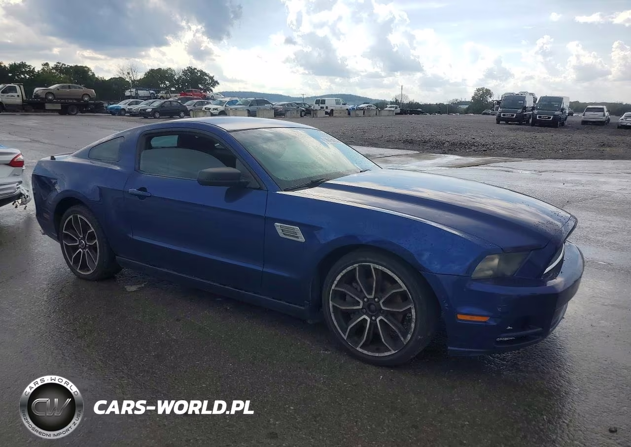 2014 Ford Mustang VIN:1ZVBP8AM0E5325260 - 4