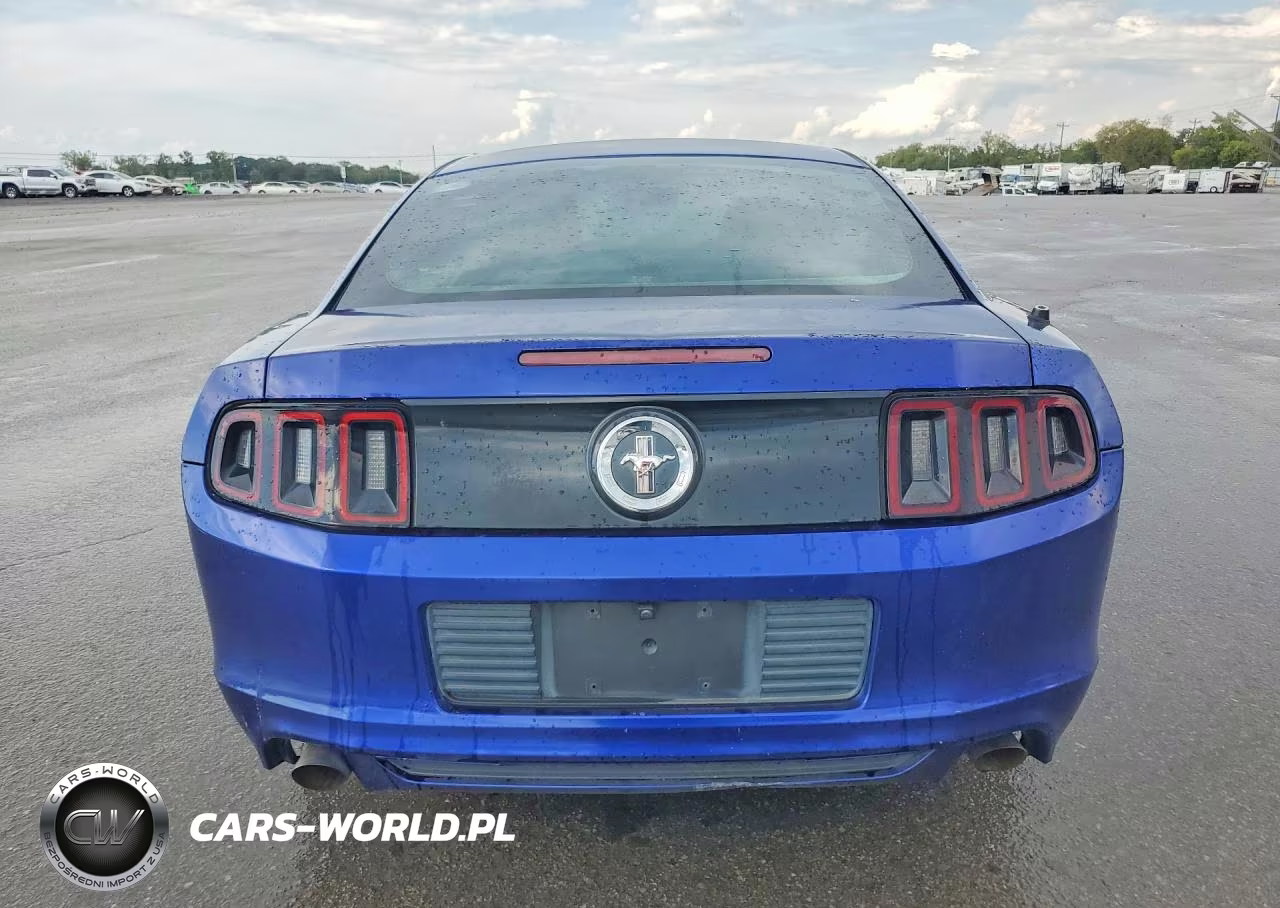 2014 Ford Mustang VIN:1ZVBP8AM0E5325260 - 6