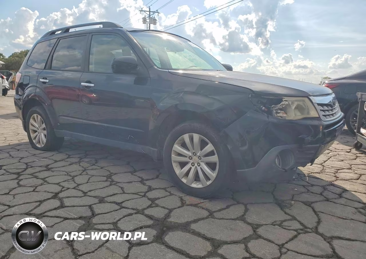 2013 Subaru Forester Limited VIN:JF2SHAEC9DH416907 - 4