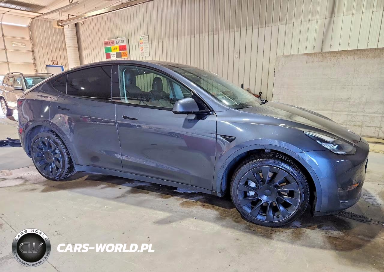 2022 Tesla Model Y VIN:7SAYGDEE2NF317185 - 4