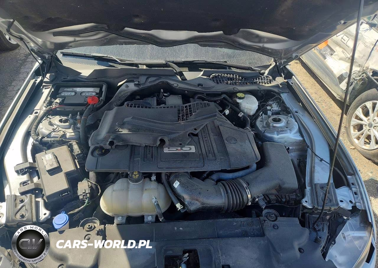 2021 Ford Mustang Gt VIN:1FA6P8CF3M5117736 - 11