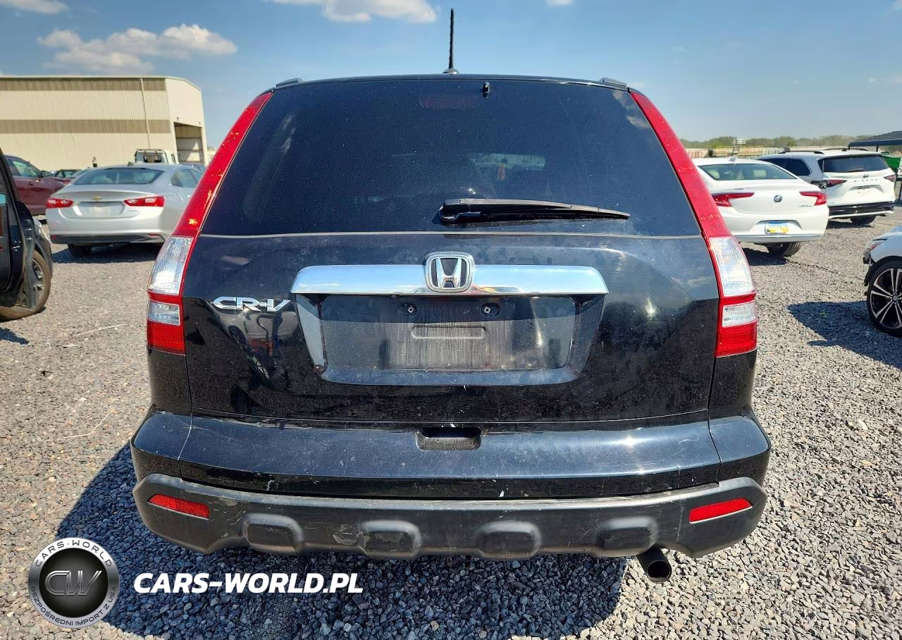 2008 Honda Cr-V Exl VIN:JHLRE38798C042787 - 6