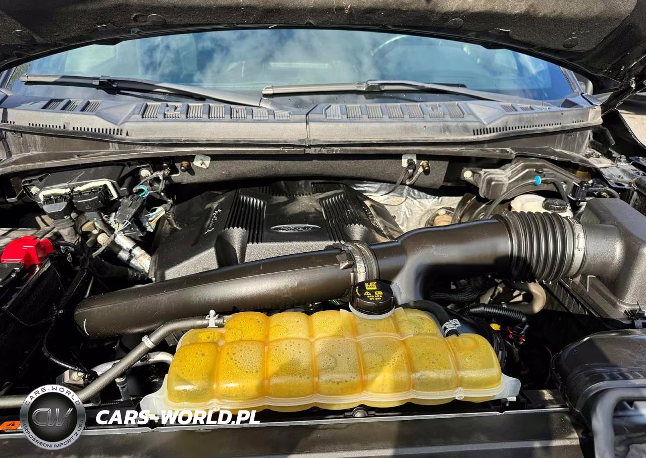 2019 Ford F150 Supercrew VIN:1FTEW1E47KFC73538 - 7