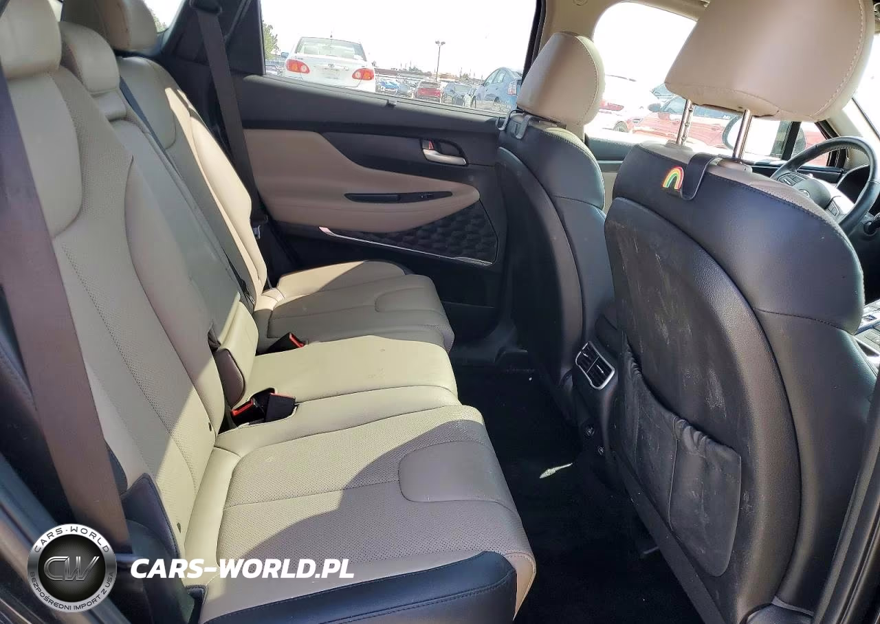 2023 Hyundai Santa Fe Sel Premium VIN:5NMS3DAJ1PH518756 - 11