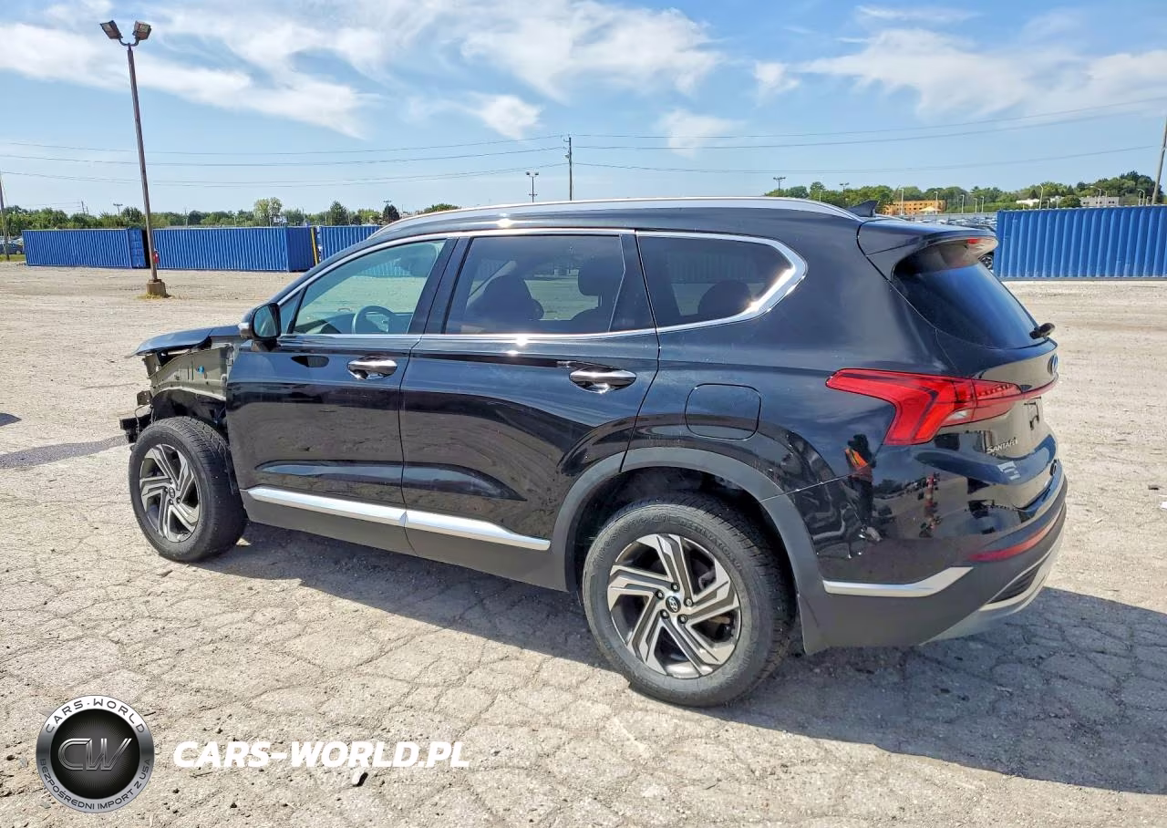 2023 Hyundai Santa Fe Sel Premium VIN:5NMS3DAJ1PH518756 - 2