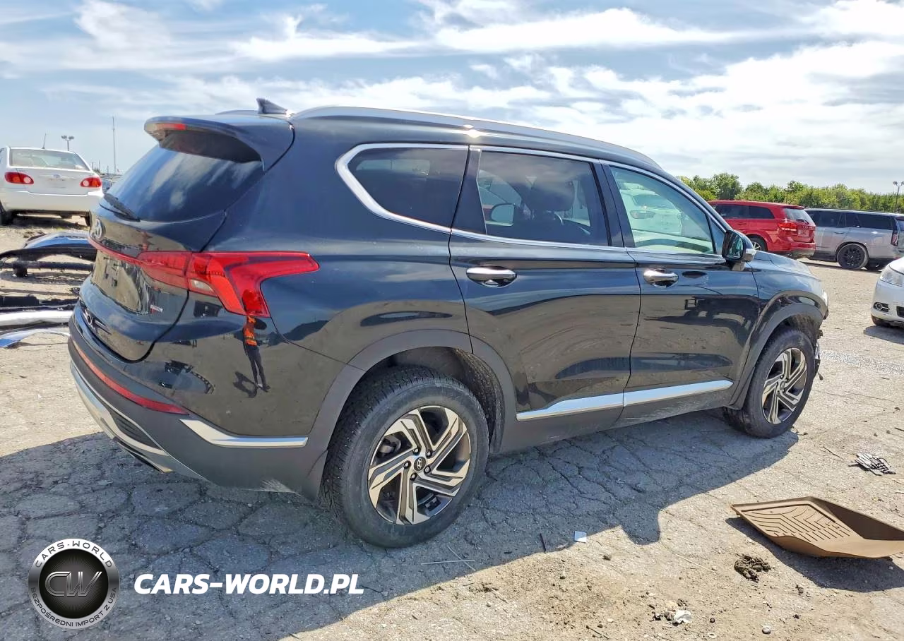 2023 Hyundai Santa Fe Sel Premium VIN:5NMS3DAJ1PH518756 - 3