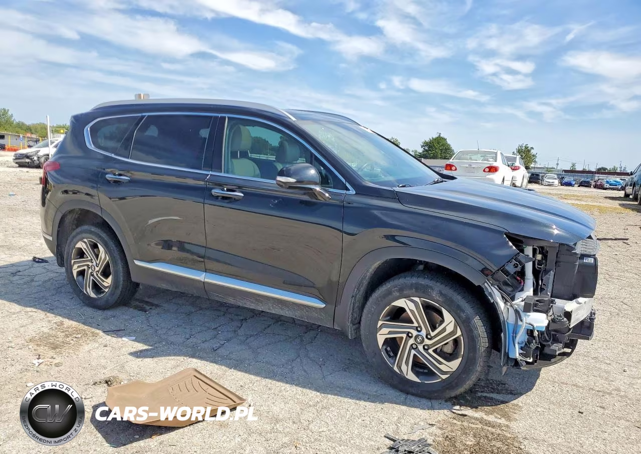 2023 Hyundai Santa Fe Sel Premium VIN:5NMS3DAJ1PH518756 - 4