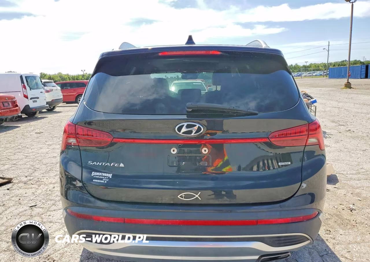 2023 Hyundai Santa Fe Sel Premium VIN:5NMS3DAJ1PH518756 - 6