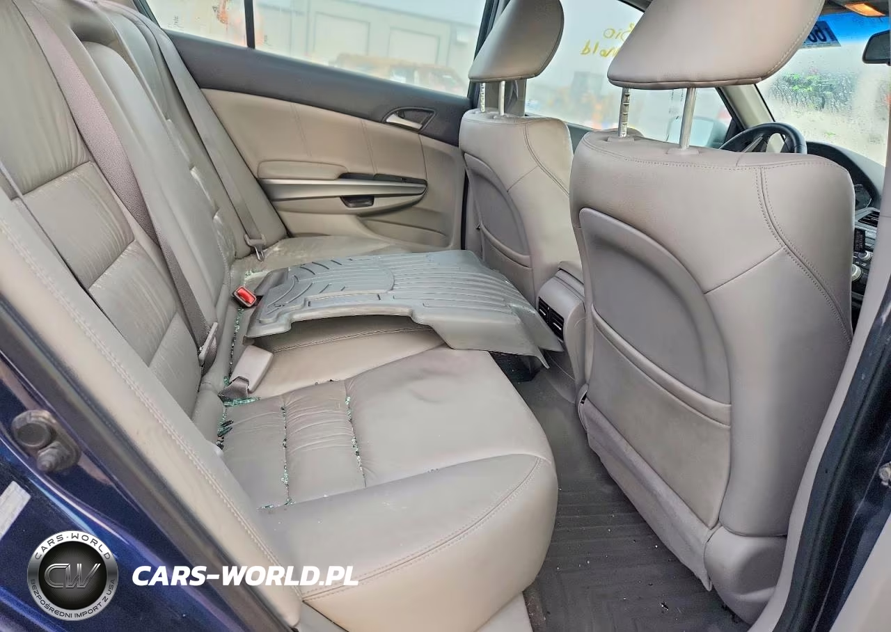 2010 Honda Accord Exl VIN:1HGCP2F8XAA028001 - 10