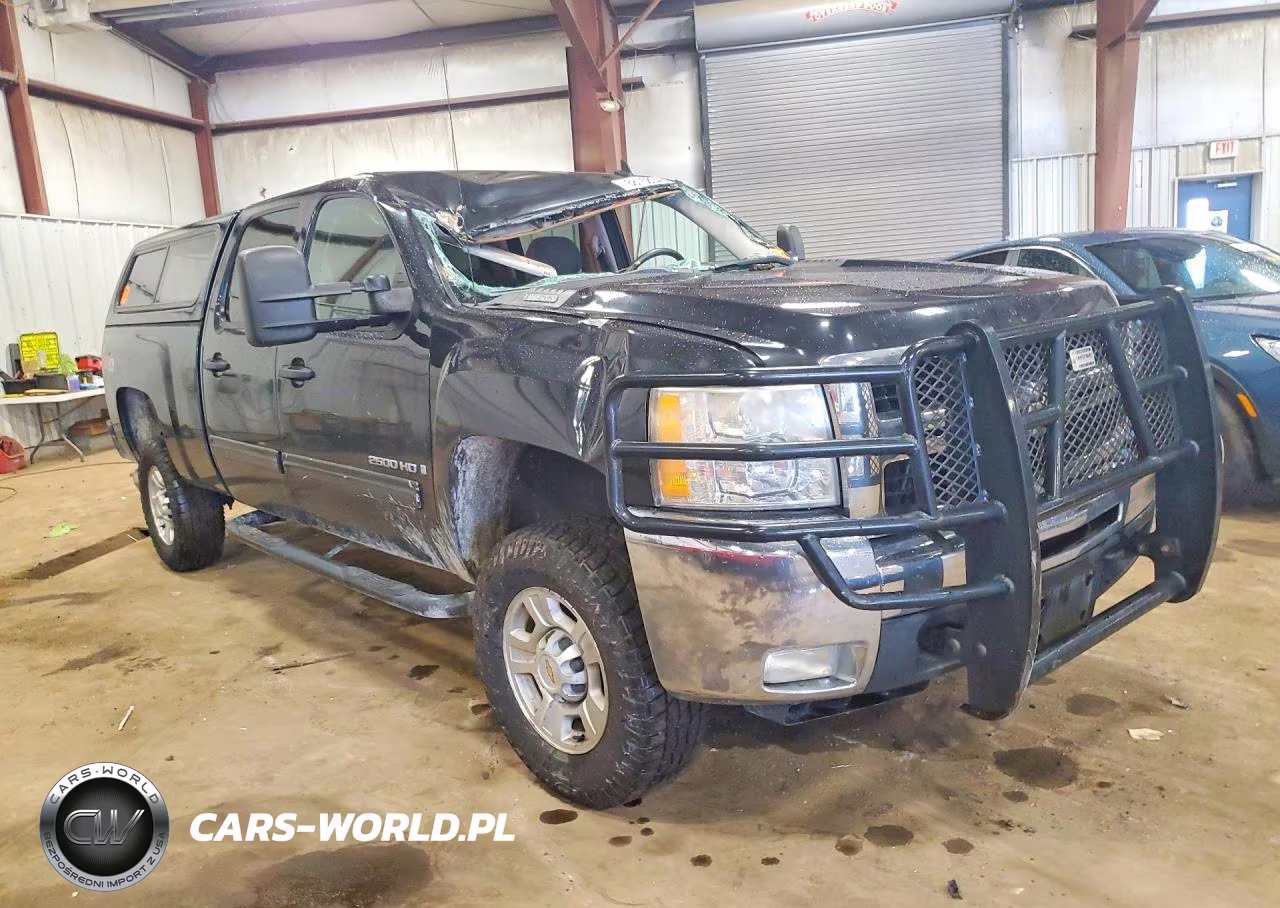 2009 Chevrolet Silverado K2500 Heavy Duty Lt VIN:1GCHK53669F137884 - 4