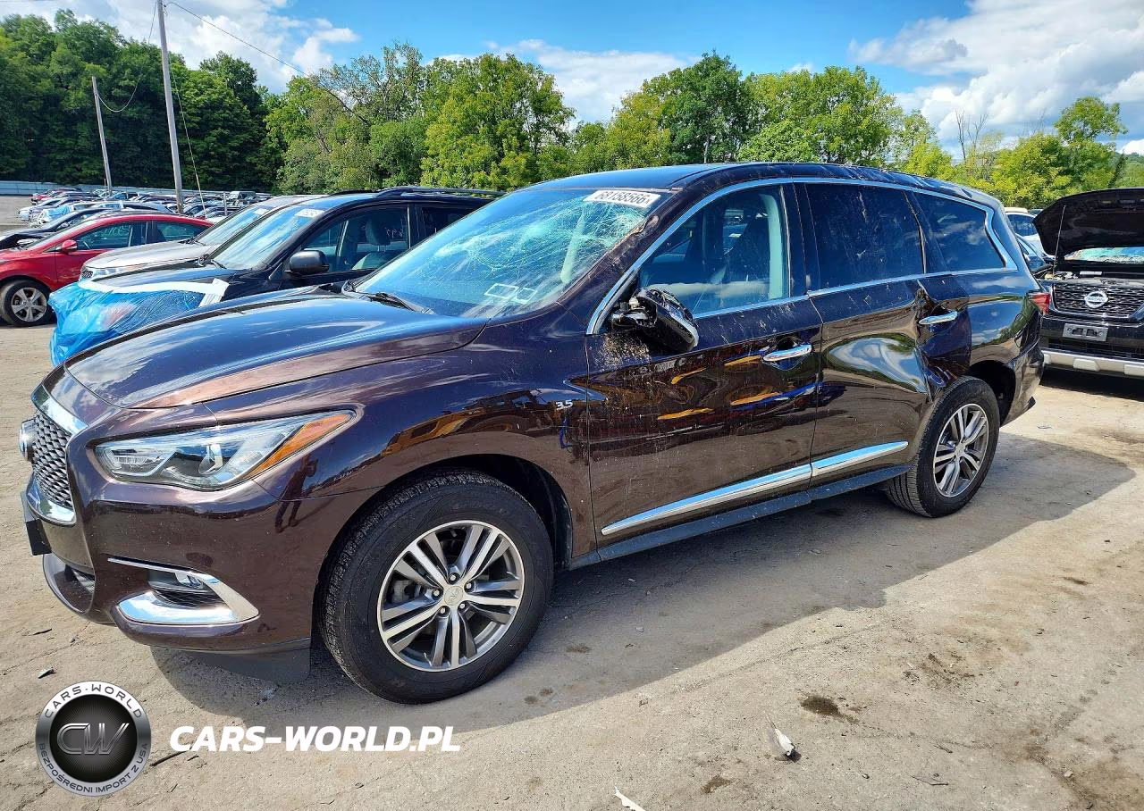 2020 Infiniti Qx60 Pure VIN:5N1DL0MMXLC542694 - 1