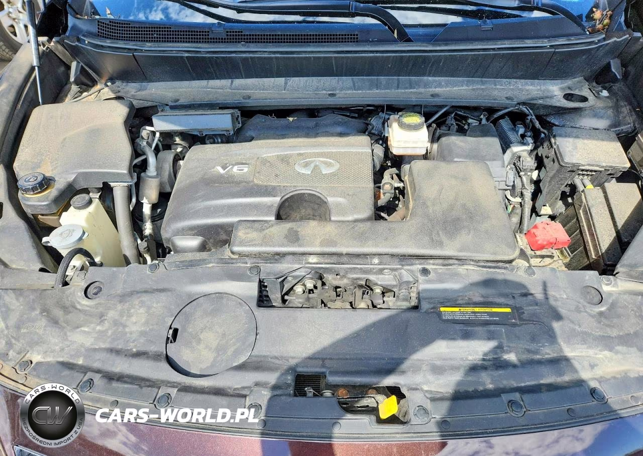 2020 Infiniti Qx60 Pure VIN:5N1DL0MMXLC542694 - 12