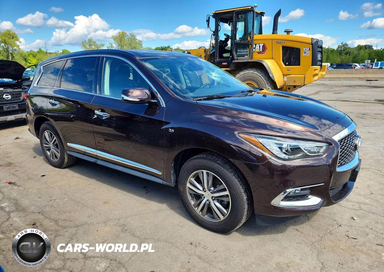 2020 Infiniti Qx60 Pure VIN:5N1DL0MMXLC542694 - 4