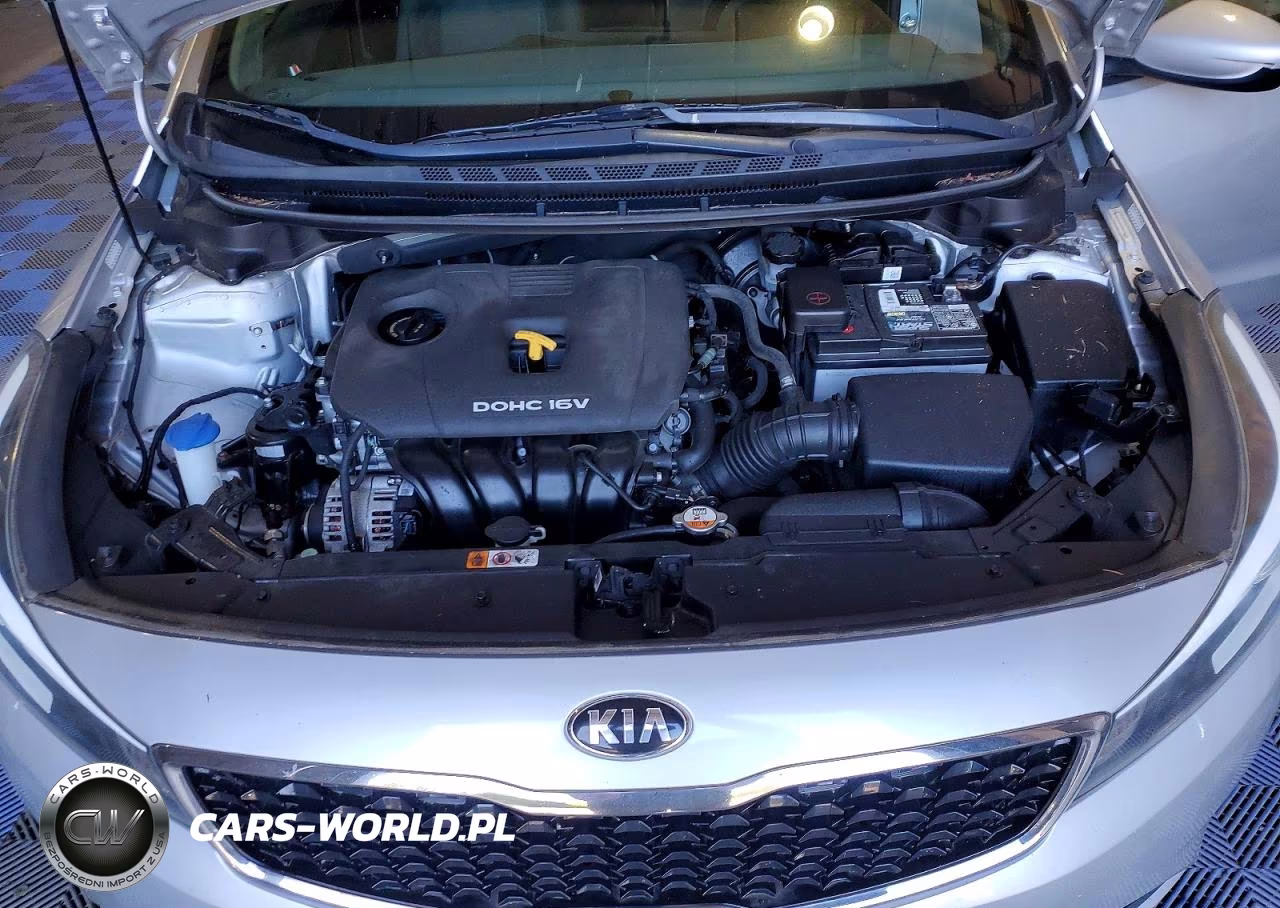 2017 Kia Forte Lx VIN:3KPFL4A73HE054285 - 11