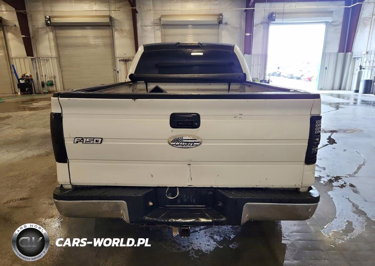 2010 Ford F150 Supercrew VIN:1FTFW1EV4AFC73590 - 6