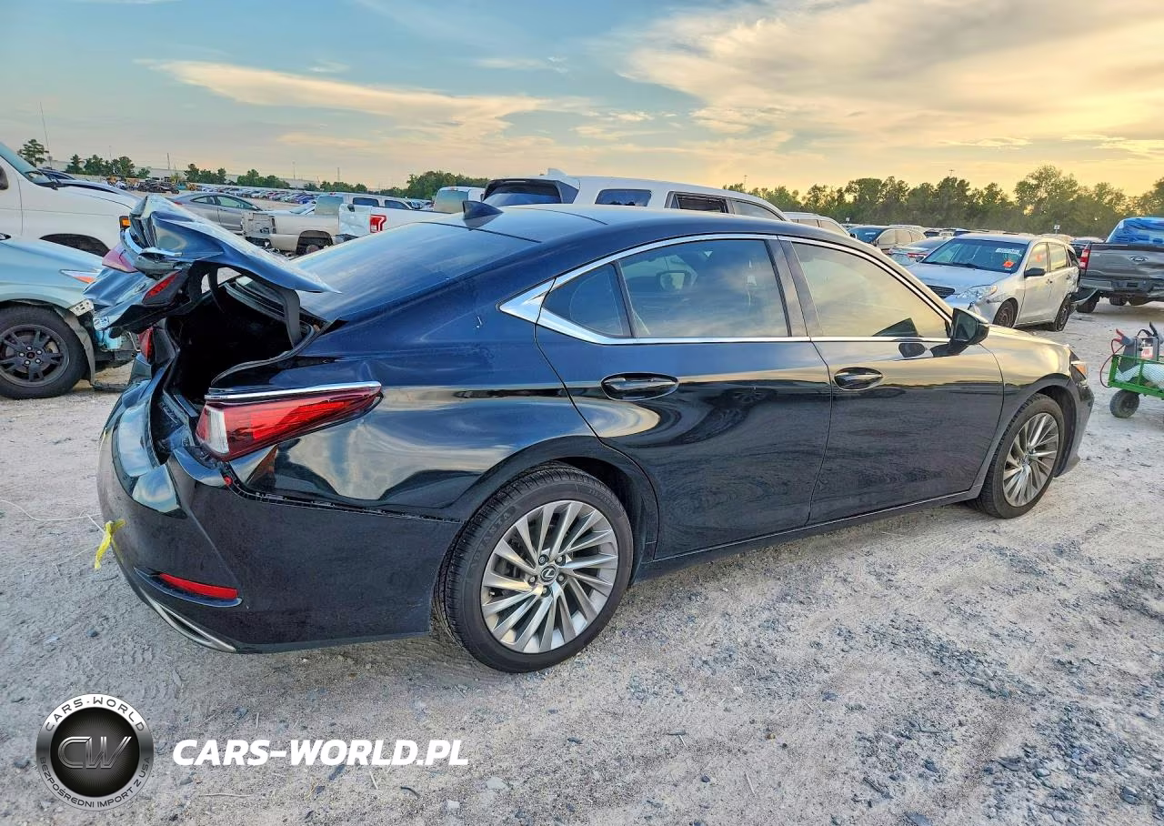 2019 Lexus Es 350 VIN:58ABZ1B13KU034699 - 3