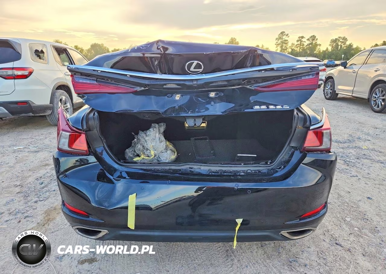 2019 Lexus Es 350 VIN:58ABZ1B13KU034699 - 6