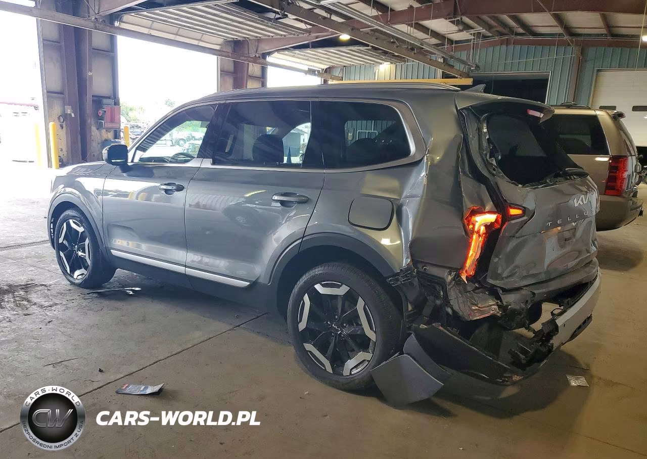 2024 Kia Telluride Ex VIN:5XYP3DGC1RG489447 - 2