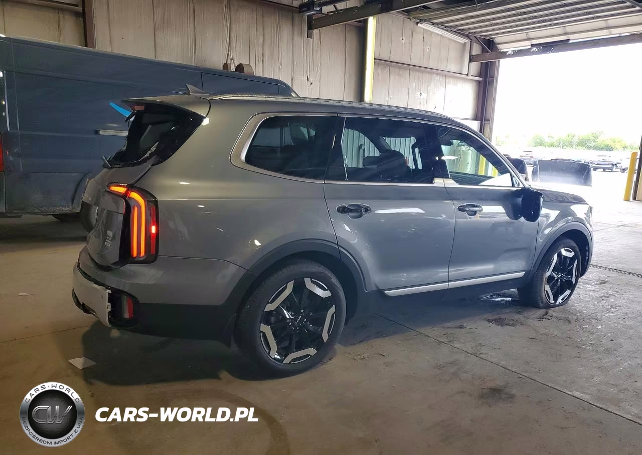 2024 Kia Telluride Ex VIN:5XYP3DGC1RG489447 - 3