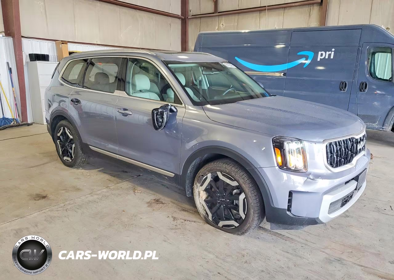2024 Kia Telluride Ex VIN:5XYP3DGC1RG489447 - 4