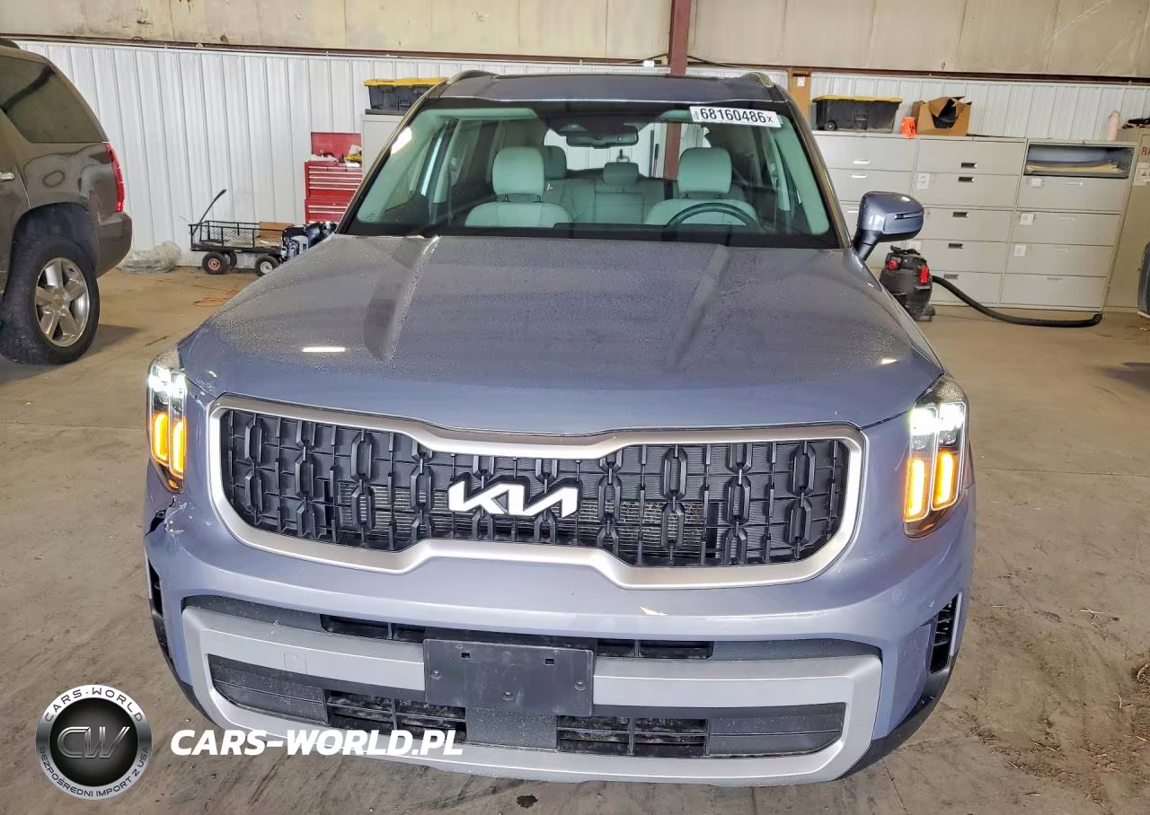 2024 Kia Telluride Ex VIN:5XYP3DGC1RG489447 - 5
